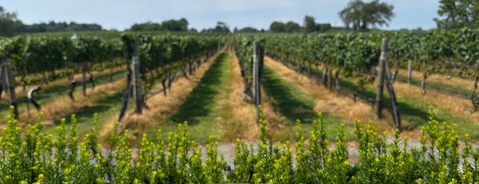 Pellegrini Vineyards is one of Weekends in Long Island.
