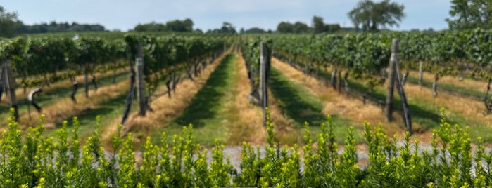 Pellegrini Vineyards is one of North Fork Long Island Wine.