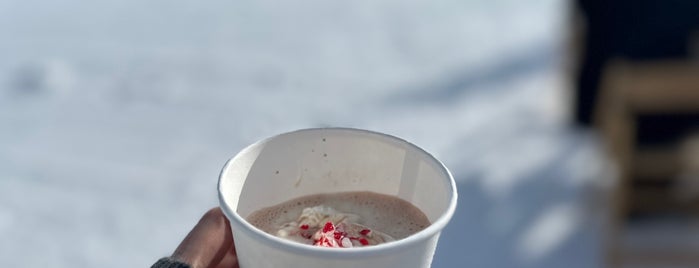 The Sundeck at Aspen Mountain is one of Aspen Favorites.