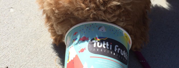Tutti Frutti is one of Baltimore Area Froyo Compendium.