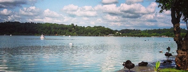 Lake Senba is one of Tempat yang Disukai Koji.