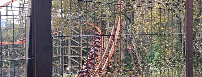 Medusa Steel Coaster is one of Posti che sono piaciuti a Giovo.
