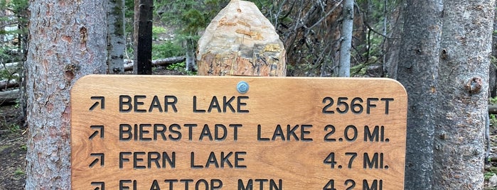 Bear Lake Trailhead is one of Must see CO.