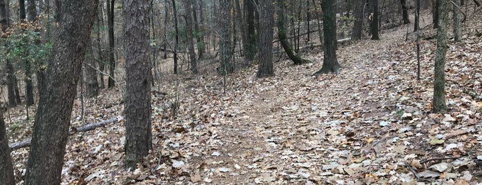 Kennesaw Mountain Trails is one of Hiking Hot Spots.
