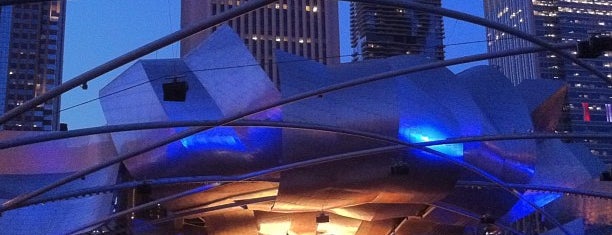 Grant Park Music Festival in Millennium Park is one of Starry Eyed Surprise.