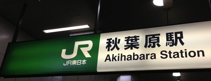 Akihabara Station is one of The stations I visited.