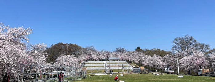 天童公園 is one of JPN00/7-V(7).