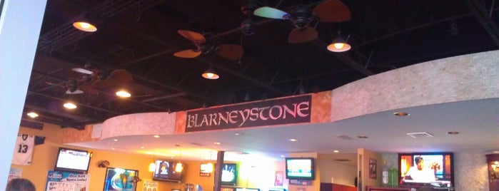 Blarney Stone Bar & Grill is one of Restaurants/Eateries I Recommend.