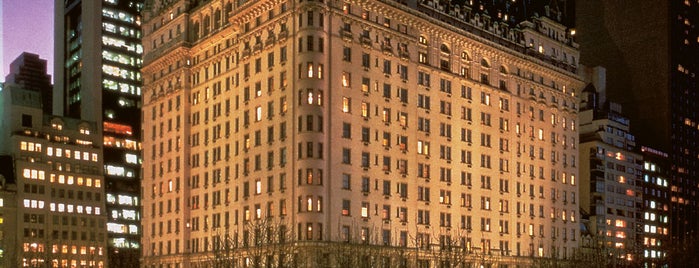 The Plaza Hotel is one of nyc.