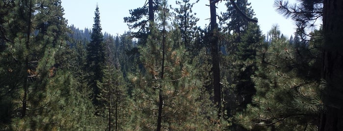 Stony Creek Lodge is one of Sequoia National Park Trip.