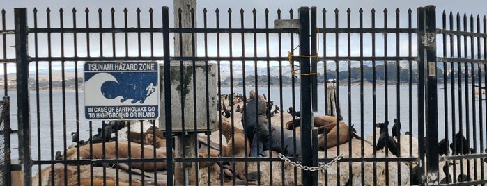Coast Guard Pier Monterey is one of สถานที่ที่ Alexey ถูกใจ.