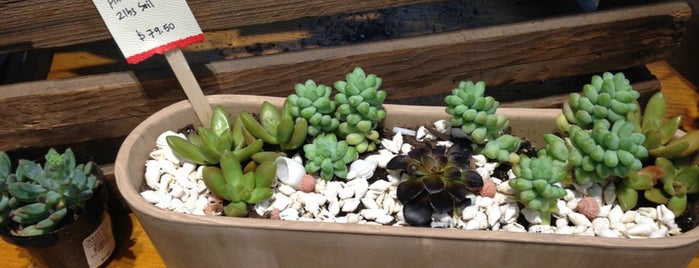 West Elm Market is one of Terrarium-Making & Urban Gardening.