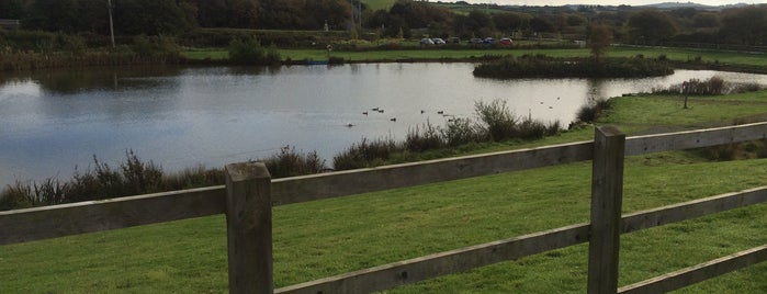 The Weir is one of Bude.
