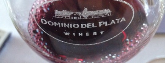 Dominio del Plata Winery is one of Mendoza: Bodegas y Viñedos.