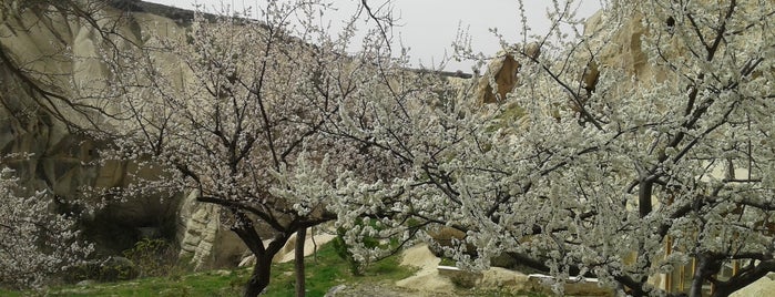 Göreme Açık Hava Müzesi is one of Locais curtidos por Erdi.