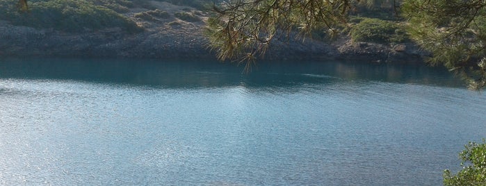 Hamsilos Koyu is one of Erdi'nin Beğendiği Mekanlar.