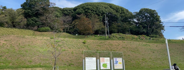 小牧山 is one of 愛知県の桜スポット.
