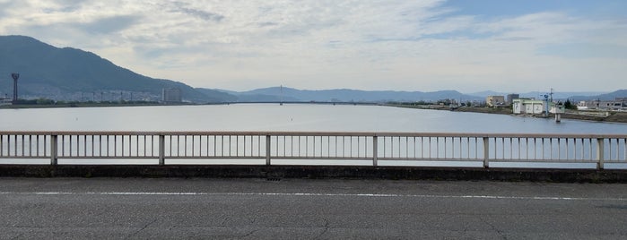 芦田川河口堰 is one of ダムカードを配布しているダム（西日本編）.