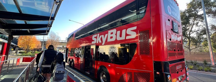 SkyBus T2/T3/T4 Bus Stop is one of Trip part.17.