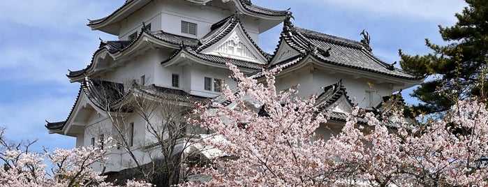 Iga Ueno Castle is one of 城跡.