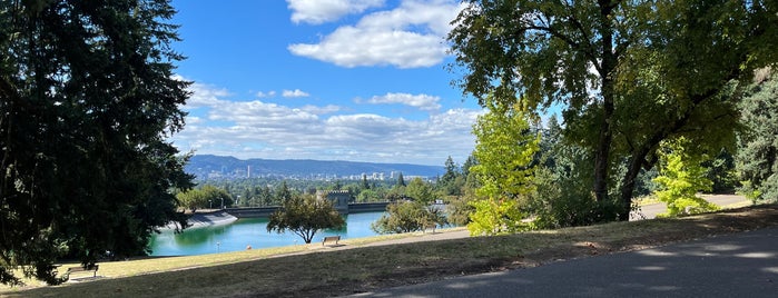 Mt. Tabor Park is one of p.land.