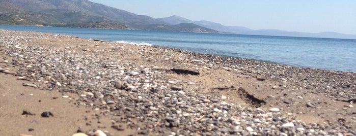 Magemena Beach is one of Chios (Sakiz Adasi).