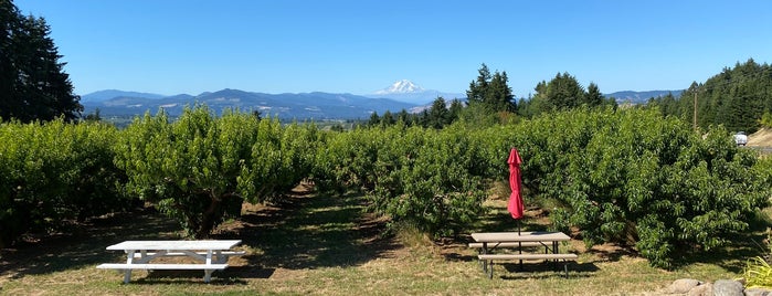 Packer Orchards and Bakery is one of Posti che sono piaciuti a Jim.