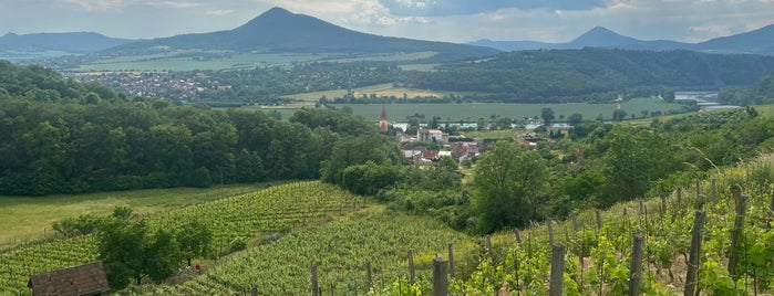 Rodinne vinarstvi Mikulenkovi is one of Vinařská.