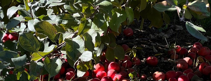 Pennings Farm Cidery is one of Cider.