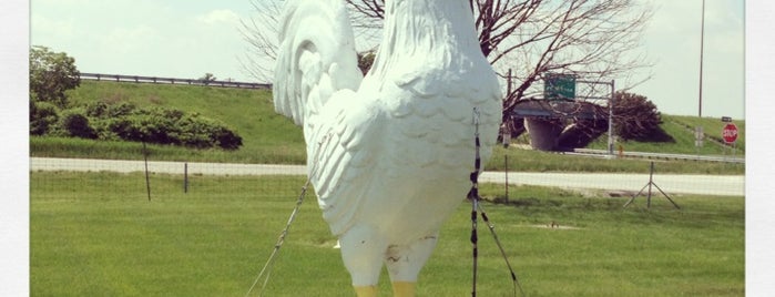 Giant Rooster is one of CS_just_CSさんのお気に入りスポット.