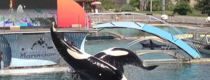 Marineland is one of Discover the Riviera II: Cannes, Antibes, Grasse.