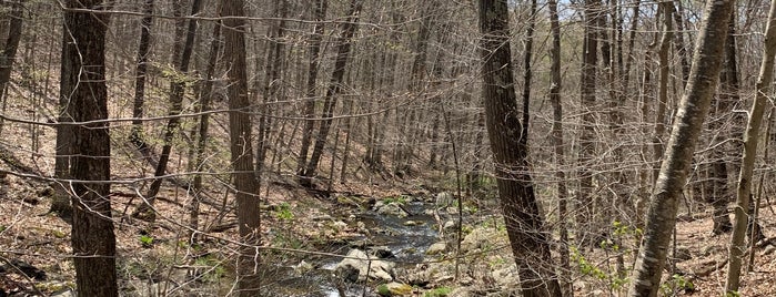 Hubbard Lodge Trail, Rte 9 is one of Hikes in Philipstown.