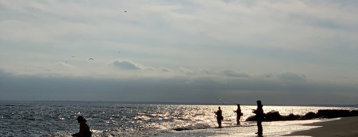 Crookes Point Beach is one of staten island.