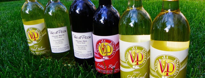 Vino di Piccin Winery & Tasting House is one of Ohio Wineries.