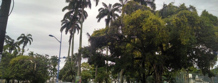 Largo do Papagaio is one of Prefeituras.