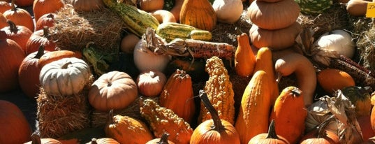 Union Square Greenmarket is one of 11 Howard + Foursquare Guide to Fall in NYC.