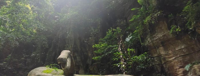 怡保清心嶺休闲文化村 Ipoh Qing Xin Ling Leisure And Cultural Village is one of マレーシア.