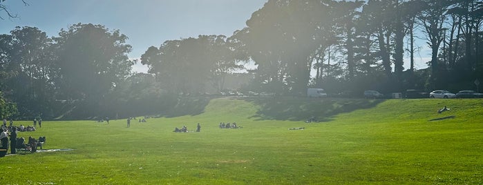 Lindley Meadow is one of Golden Gate Park.