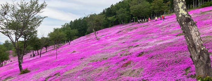 芝ざくら滝上公園 is one of Things To Do.