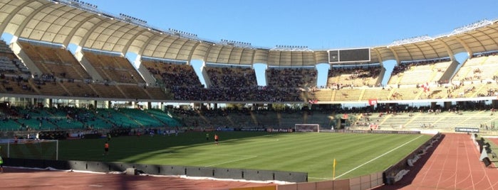 Stadio San Nicola is one of Football Grounds.