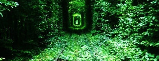 Tunnel of Love is one of Памятники достопримечательности в Ровно.