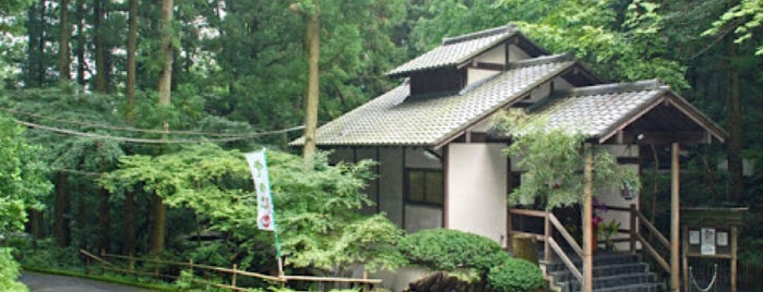 きのこ茶屋 is one of Restaurant.