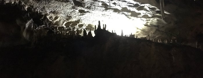 Пещера "Магурата" is one of สถานที่ที่ Ivan ถูกใจ.