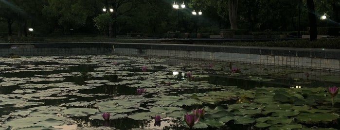 Queen Sirikit Park is one of Бангкок(Таиланд).