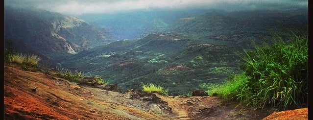 Waimea Canyon & Koke'e State Park is one of Kauai.