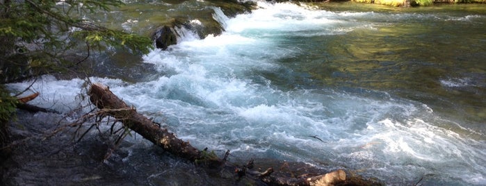 Ptarmigan Creek is one of Alaska.