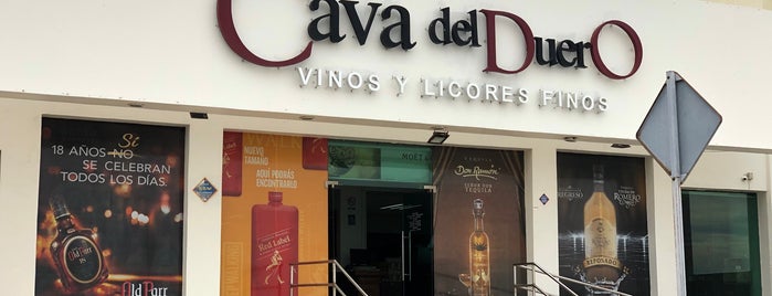 Cava del Duero is one of G&G EDIFICC, S.C..