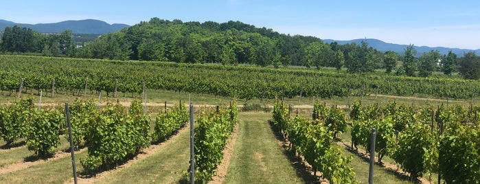 Vignoble de Ste-Pétronille is one of Lugares favoritos de Garfo.