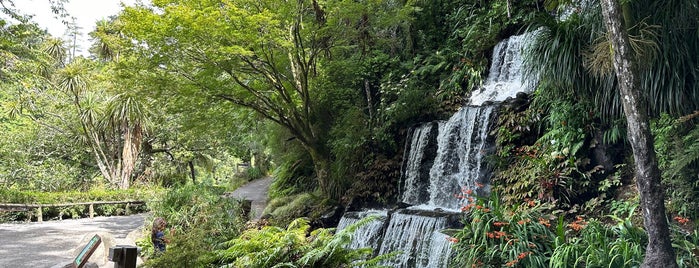 Pukekura Park is one of Best places in New Plymouth, New Zealand.