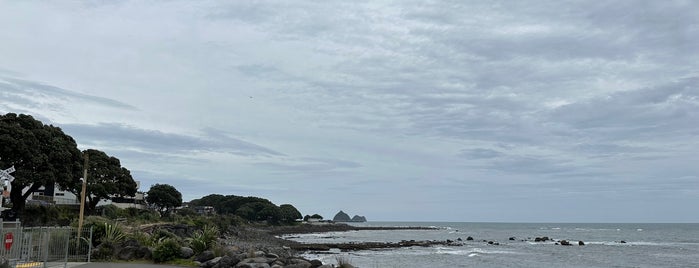 New Plymouth's Coastal Walkway is one of New Plymouth To-Do List.